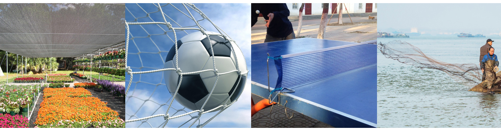 日日碰狠狠躁久久躁婷婷