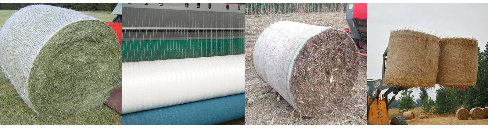 日日碰狠狠躁久久躁婷婷